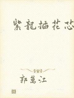 紫龙插花芯封面