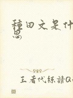 种田文是什么意思封面