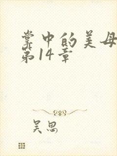 掌中的美母版主第14章