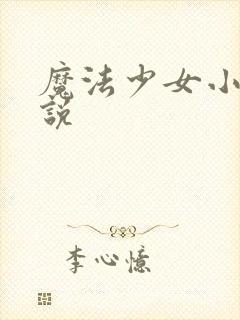 魔法少女小圆小说