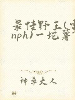 最佳野王(电竞nph)一坨薯饼