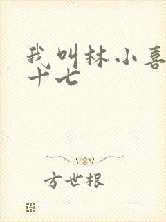 我叫林小喜今年十七
