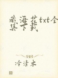 藏海花txt全集下载