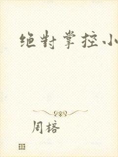 绝对掌控小说