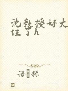 沈教授好大含不住了h