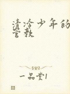 清冷少年的严厉管教