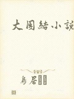 大团结小说阅读