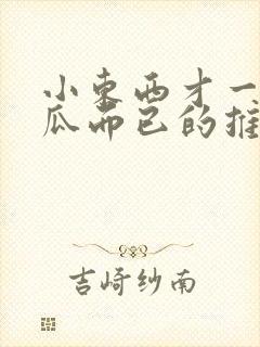 小东西才一根黄瓜而已的推荐书