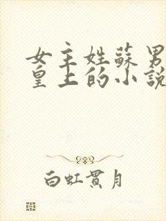 女主姓苏男主是皇上的小说封面