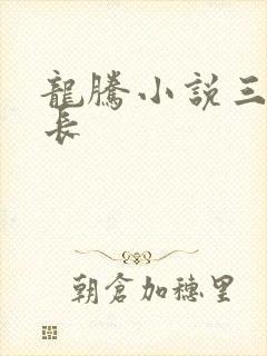 龙腾小说三宝局长