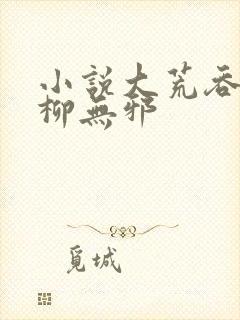 小说大荒吞天诀柳无邪