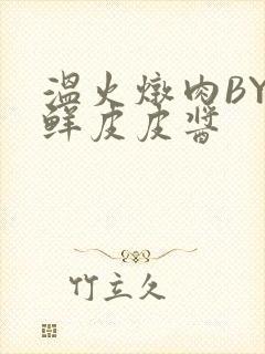 温火炖肉BY海鲜皮皮酱