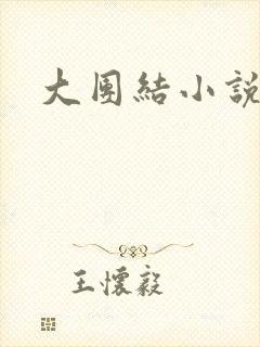 大团结小说下载