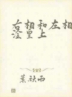 右相和左相一起淦皇上封面