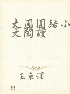 大团圆结小茹全文阅读