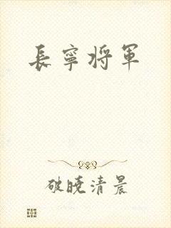 长宁将军封面