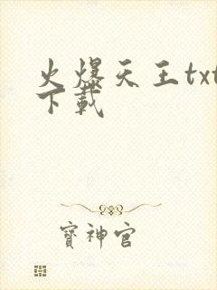 火爆天王txt下载