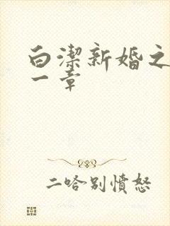 白洁新婚之夜第一章