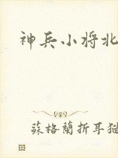 神兵小将北冥雪