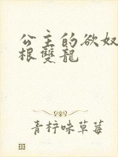 公主的欲奴h四根双龙