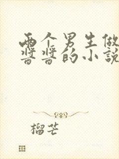 两个男生做酿酿酱酱的小说