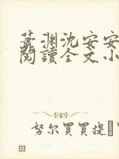 萧渊沈安安免费阅读全文小说封面