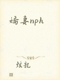 娇妻nph