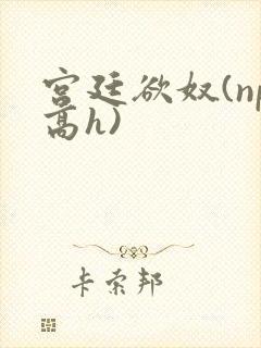 宫廷欲奴(np高h)