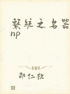 系统之名器攻略np