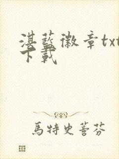 湛蓝徽章txt下载