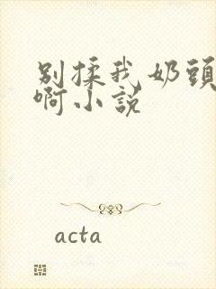 别揉我奶头嗯～啊小说封面