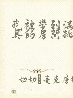 我被带到满是玩具的房间挑调游戏