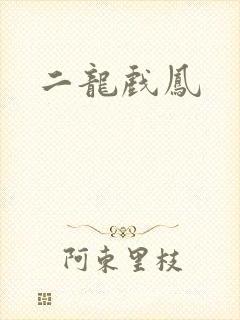 二龙戏凤