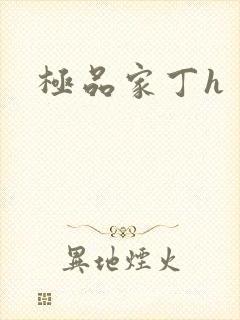 极品家丁h