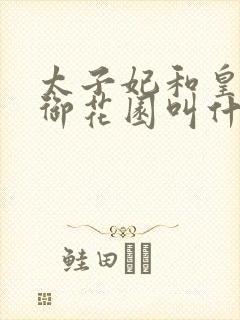 太子妃和皇帝在御花园叫什么小说