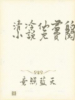 清冷仙君的堕落小说免费阅读