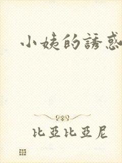 小姨的诱惑小说封面