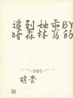 追到她乖BY黑暗森林写的小说