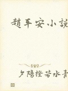 赵平安小说主角