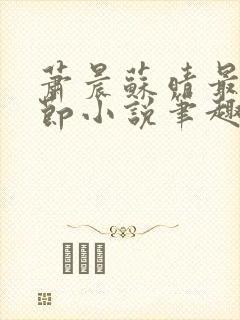 萧晨苏晴最新章节小说笔趣阁封面