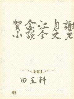 贺念江月谢泊年小说全文免费阅读笔趣阁