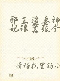 邪王追妻神医狂妃很嚣张全文免费