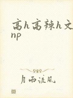 高h高辣h文乱np