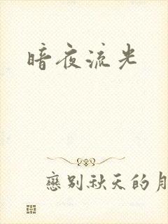 暗夜流光