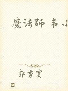 魔法师 韦小宝