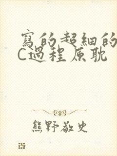 写的超细的多肉C过程原耽