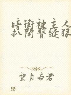 暗卫被主人羞耻扒开臀缝狠打小说封面