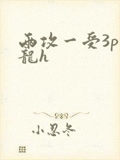 两攻一受3p双龙h