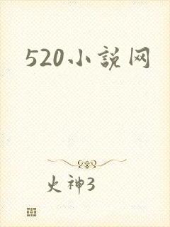 520小说网封面
