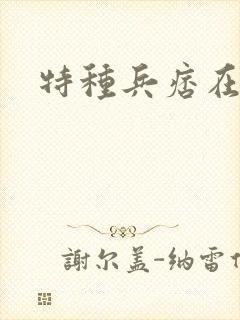 特种兵痞在都市